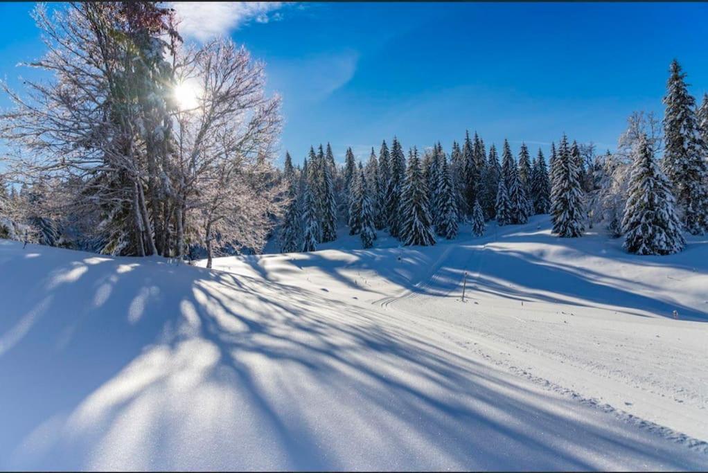 Chaleureux Studio Montagnard Avec Balcon 2303 Prémanon Eksteriør billede
